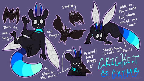 cricket crumb ref